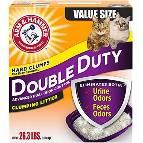 best odor control kitty litter|The 9 Best Cat Litters for Odor Control .